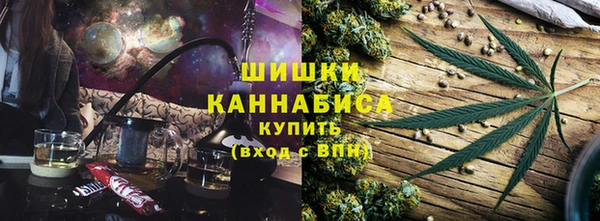 ПСИЛОЦИБИНОВЫЕ ГРИБЫ Балабаново