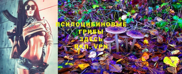 ПСИЛОЦИБИНОВЫЕ ГРИБЫ Балабаново
