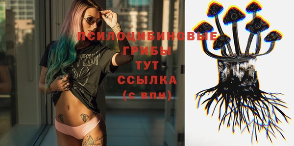 ПСИЛОЦИБИНОВЫЕ ГРИБЫ Балабаново